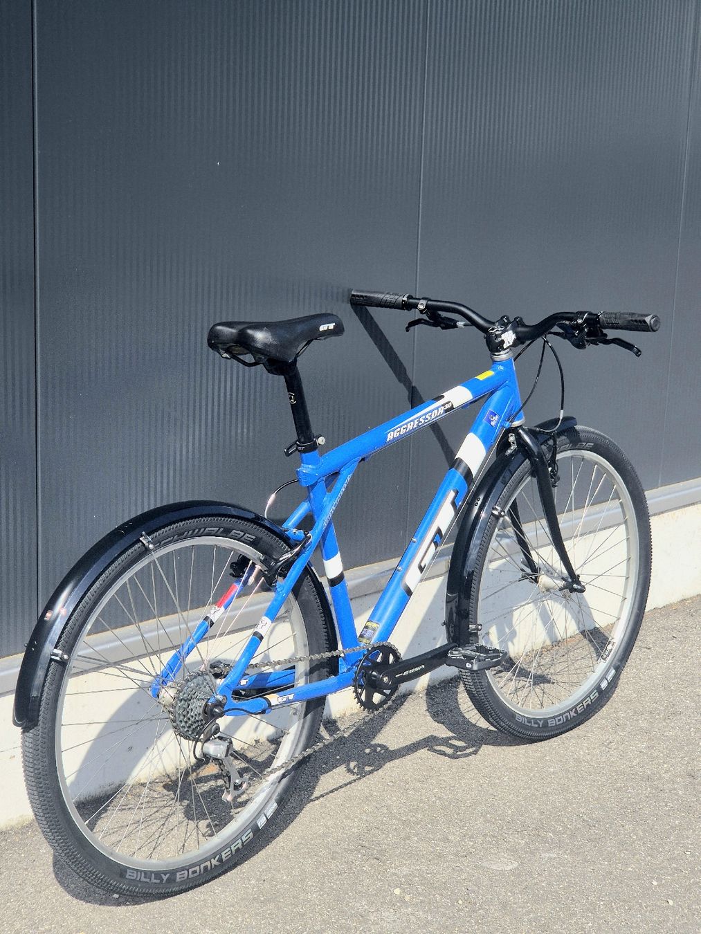 GT Biciclette: GT Agressor 3.0 – Usato da Zuchwil venduto da Eheim_Mechanics 3