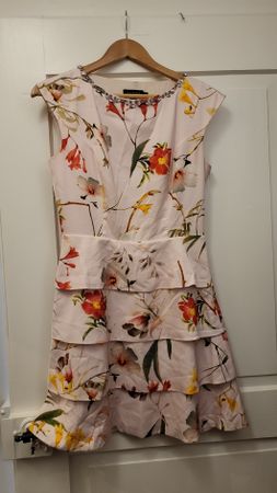Ted Baker Floral Dress (size 2)
