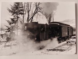 Dampfzug fährt ein Foto 1, 12x8.5