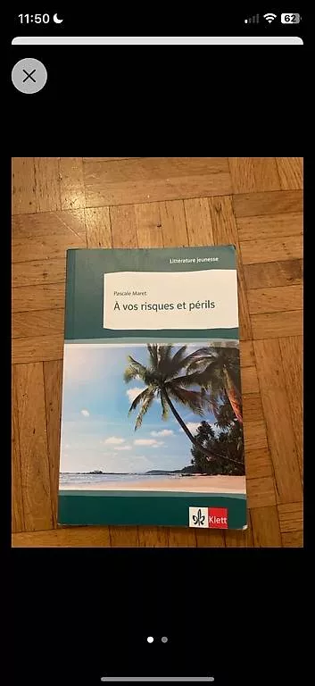 Libri: A vos risques et périls - Pascale Maret – Usato da Bern venduto da aij_cs5m