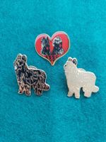 3 Briard Pins