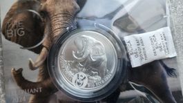 Big Five Elephant 2024 1 oz Silber .999 South Africa