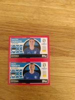 🤩 EST 8 / EST 9 - Topps Euro 2024 Sticker