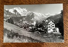 Postkarte Wengen mit Ferienheim Hennenfluh