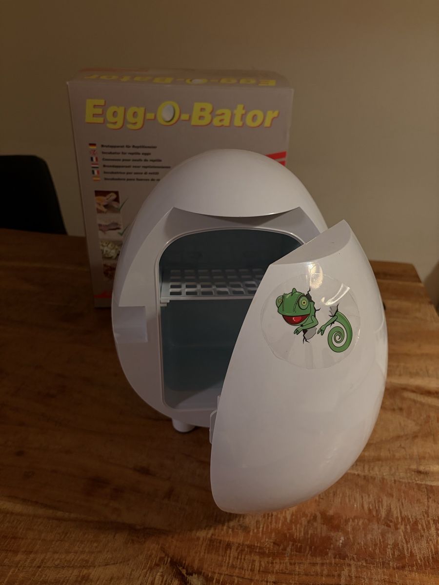 Altro in Accessori per animali: Egg o bator / Reptilien Brutkasten – Nuovo e nell'imballaggio originale da Luzern venduto da Alisha_10