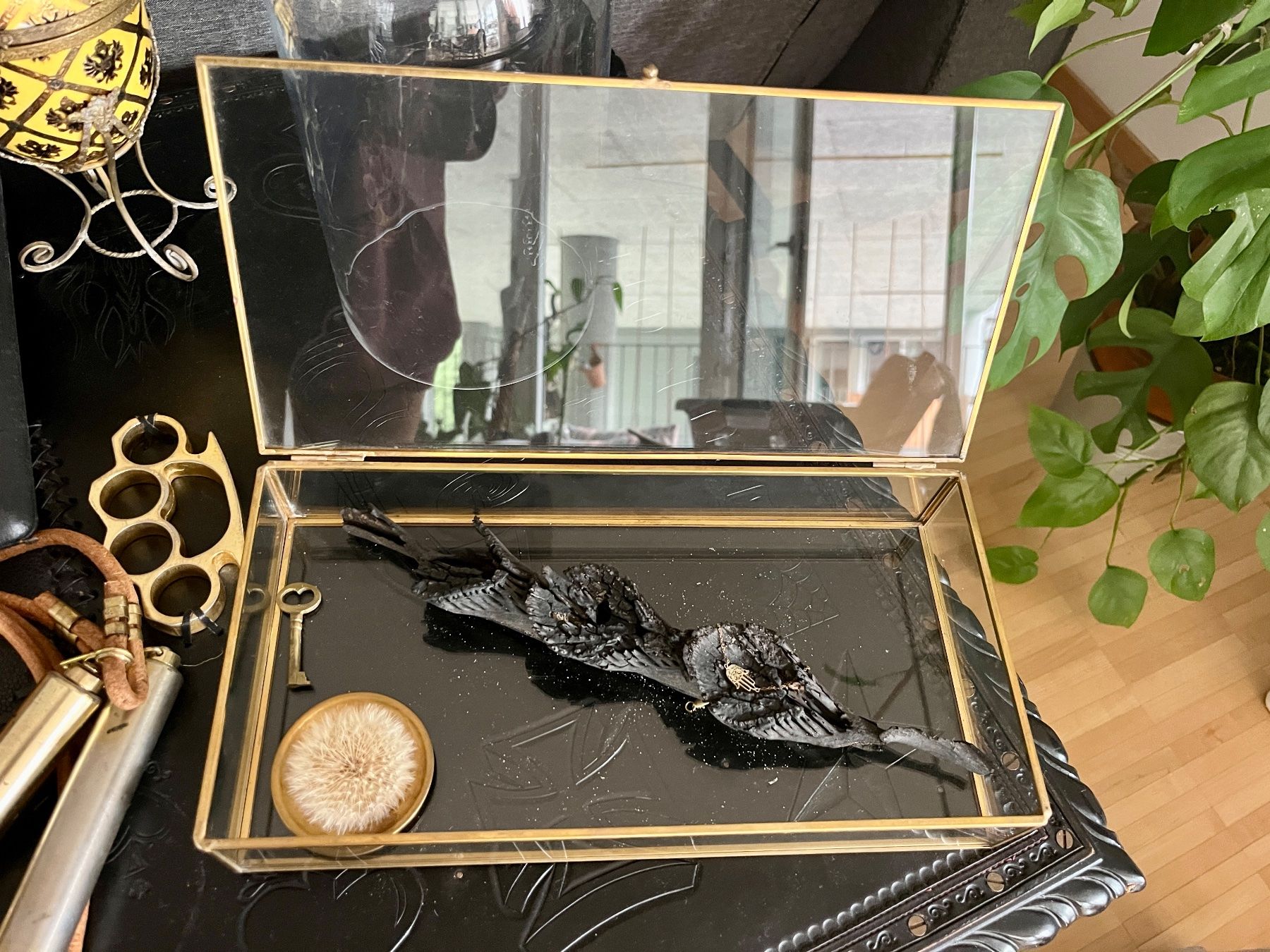 Behälter & Ähnliches: Messing Glass Box- Hübsch – Neu (gemäss Beschreibung) aus Arbon von v.m.h