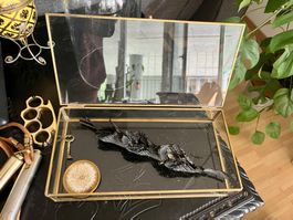 Messing Glass Box- Hübsch