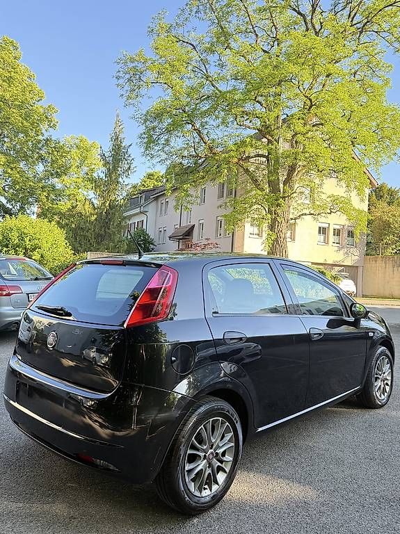 Fiat Automobili: Fiat Punto 1.2 – Usato da Schaffhausen venduto da fre_f7bn 1