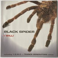 Black Spider, I Will! (Trance, Hard Trance)