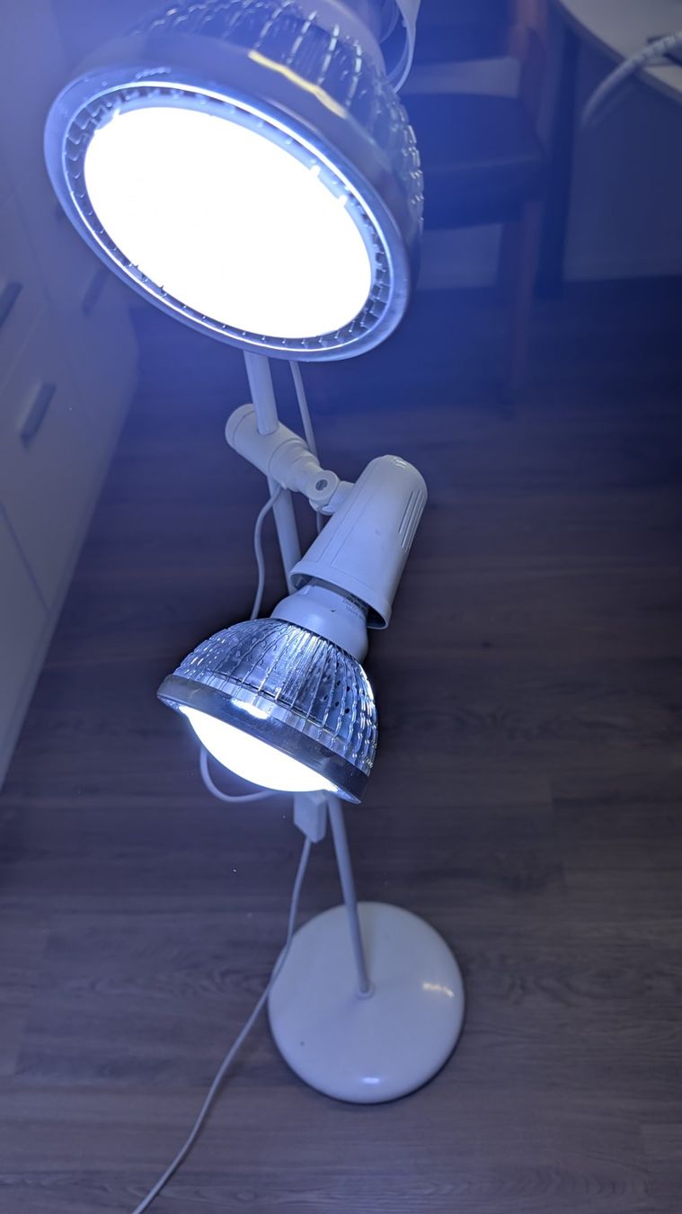 Lampen: Pflanzenleuchte 360 Grad verstellbar – Gebraucht aus Bönigen von Twpin
