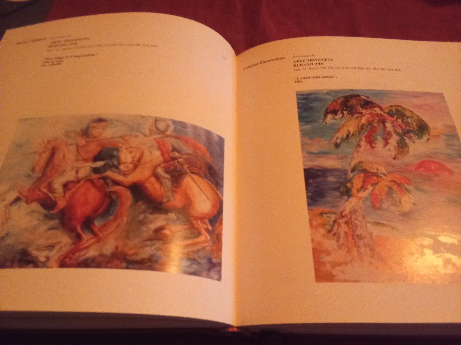 Bücher: Arte '96 Padova – Gebraucht aus Remetschwil von Privatflohmi 5