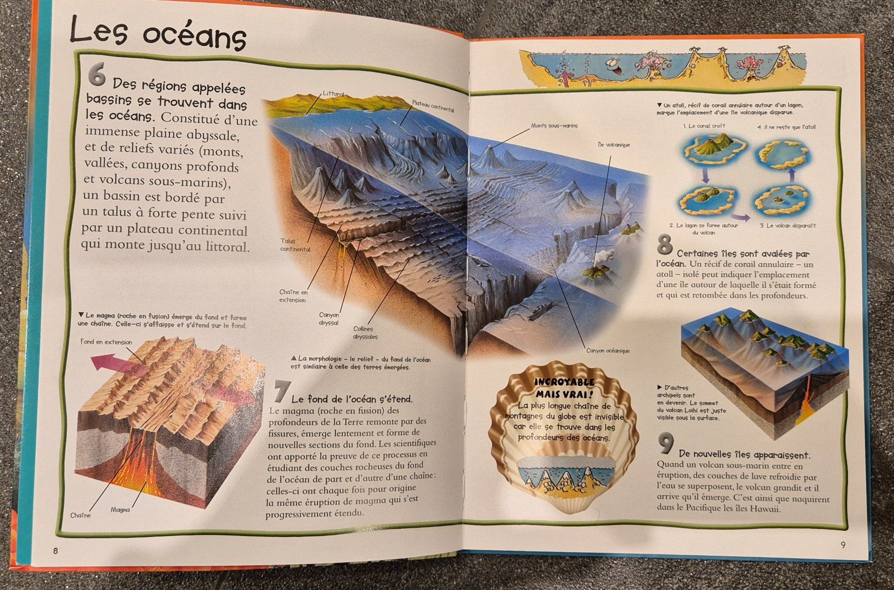 Libri: petit visuel multilingue & 100 infos a connaitre les oceans – Usato da Grüningen venduto da jadranko 3