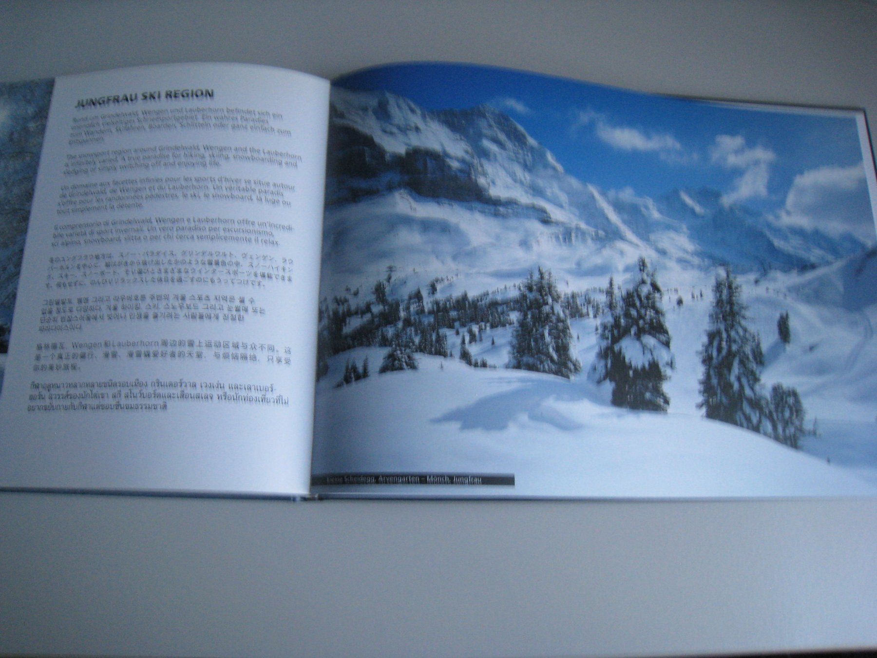 Libri: 100 Jahre Jungfraubahn, 1912 bis 2012 – Usato da Buchs ZH venduto da swiss-train 9