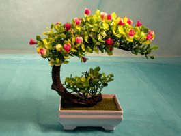 Bonsai Bäumchen, Kunstpflanze
