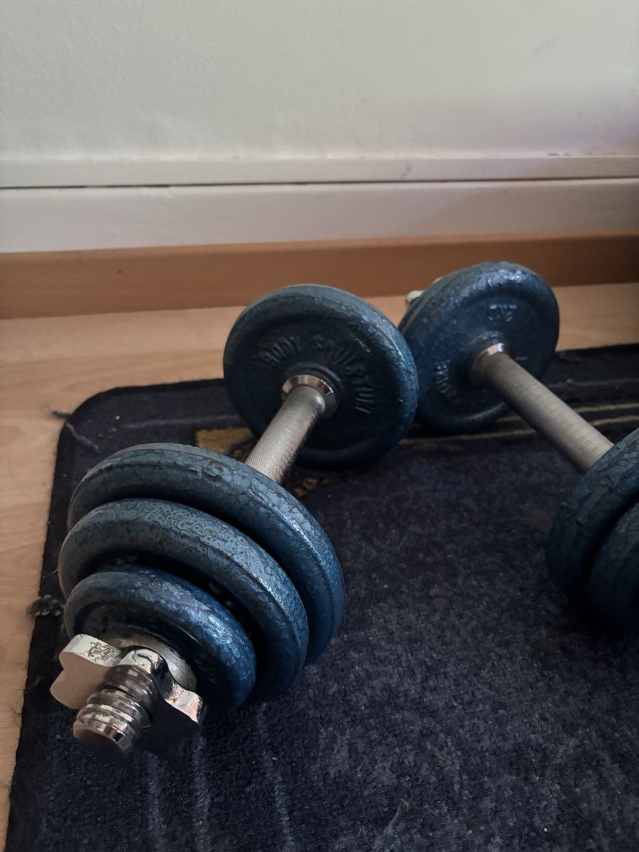 Poids & Haltères: Kurzhanteln / Dumbbells – D'occasion à Basel par cla_fnp7