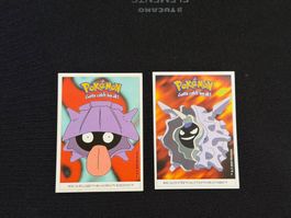 Pokémon Dunkin Boomer 2000 – Muschas & Austos