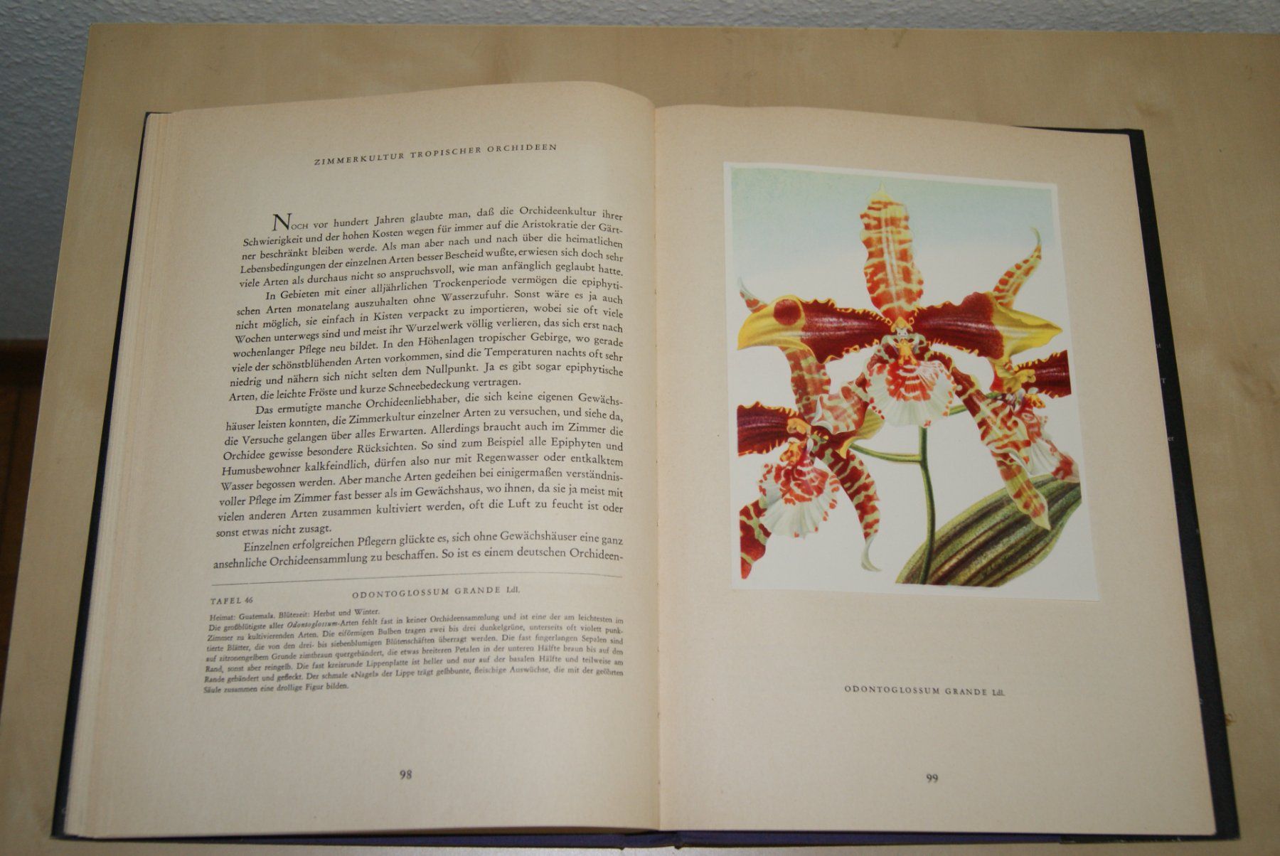 Libri: Orchideen. Silva-Bilderbuch Erste Auflage – Usato da Zürich venduto da Widi1 3
