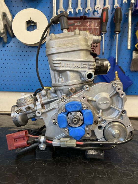 Go-Kart: IAME X30 SENIOR – Usato da Quartino venduto da James27 1