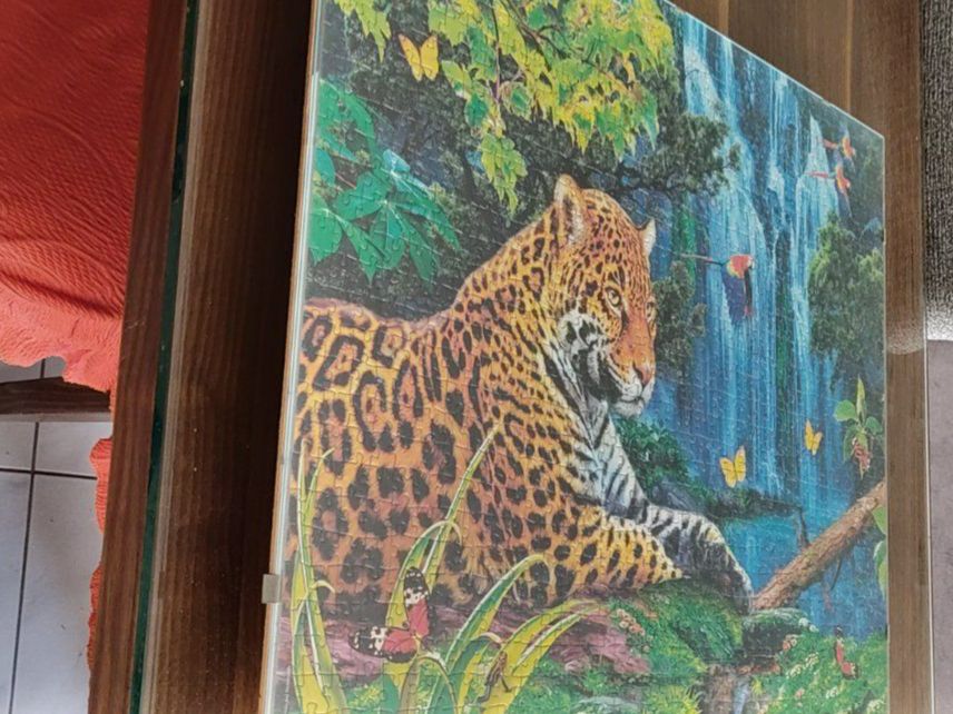 Ravensburger Puzzles: Puzzle Bild Eingerahmt 70 x 50 – Gebraucht aus Dottikon von Oldyfreak