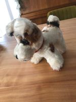 Stofftier Hündchen, Terrier-Mix, Vintage Stil