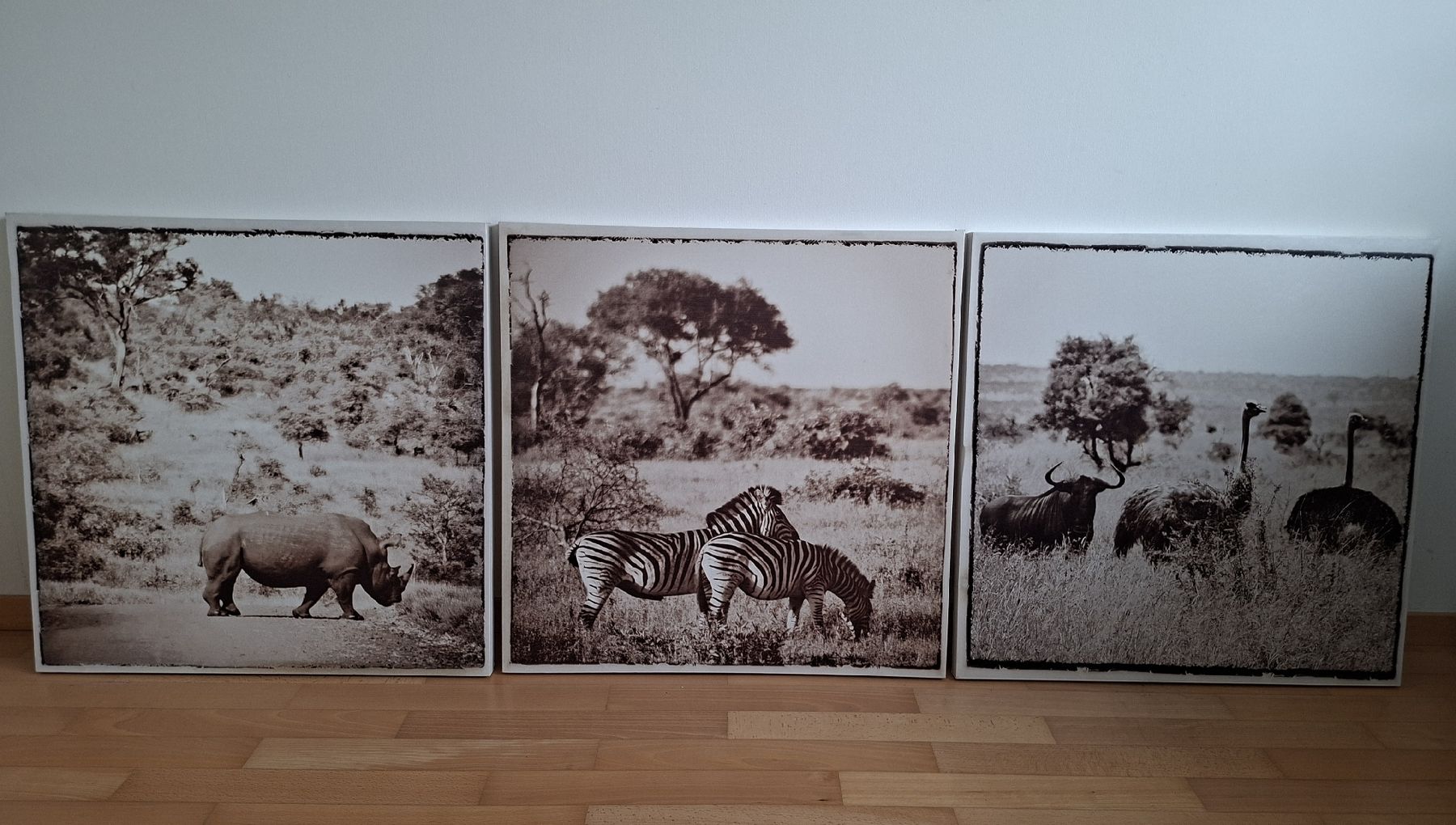 Foto & Immagini: Bilder Reihe Safari – Nuovo (secondo la descrizione) da Meggen venduto da fab_wp67