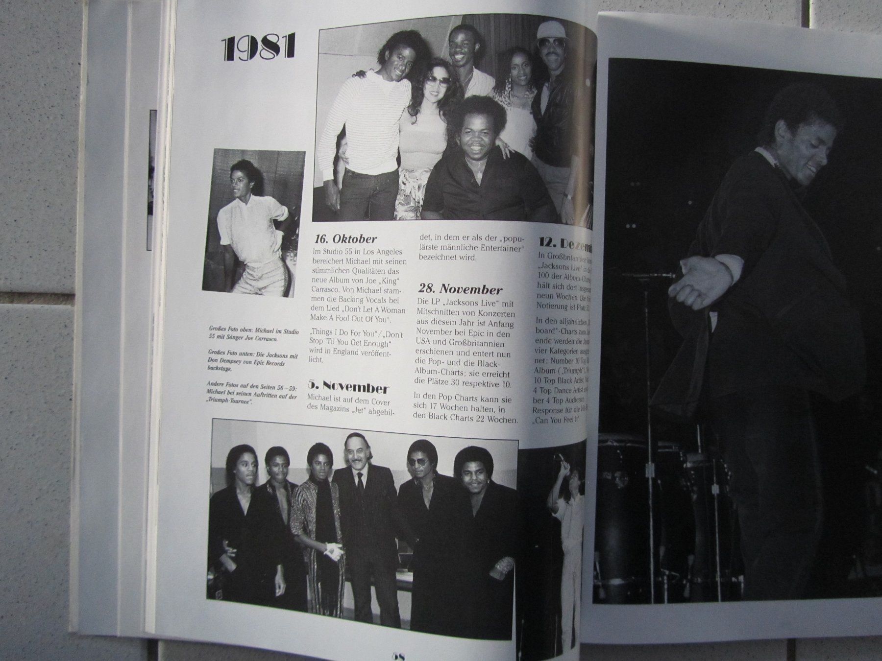 Bücher: Michael Jackson, Chronik von 1958 - 1994 – Gebraucht aus Weiningen ZH von dietsch57 4