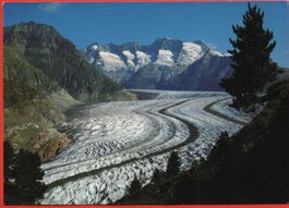 FIESCH Naturschutzgebiet Aletschwald - Gr. Aletschgletscher