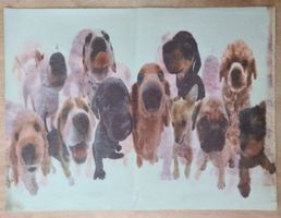 Schmutzfangmatte Türvorlege Fussmatte 80x60