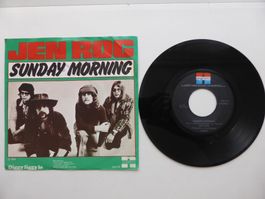 VINYL SINGLE  JEN ROG