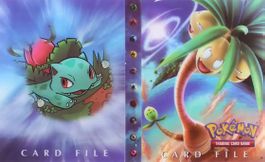 Pokemon Kartenalbum (240 Karten)