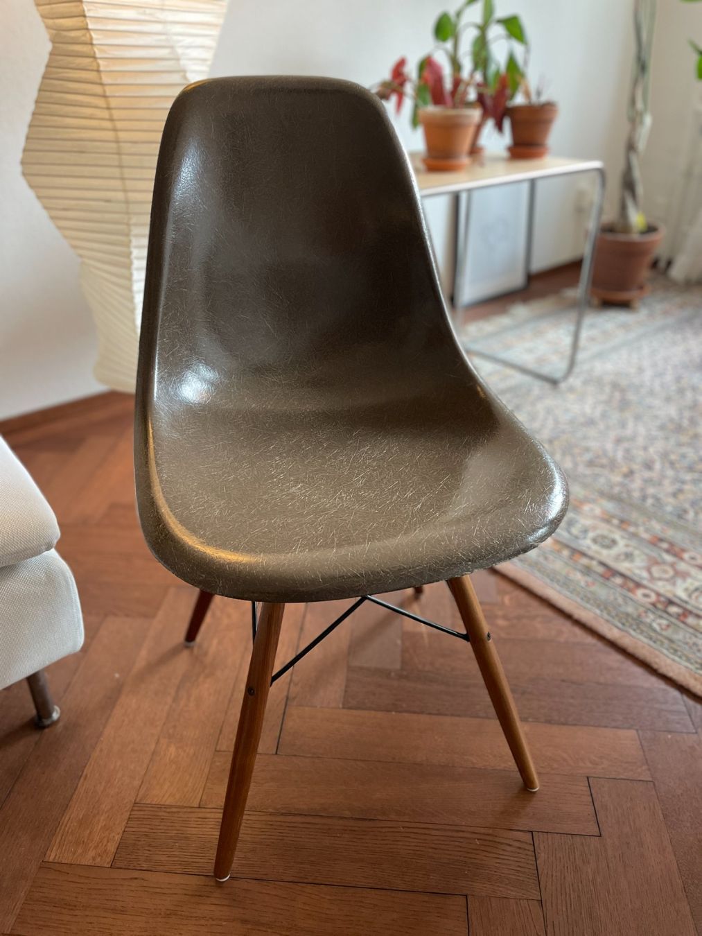 Eames Sedie: Eames Sidechair Seal brown – Usato da Bern venduto da metallbauer94 1