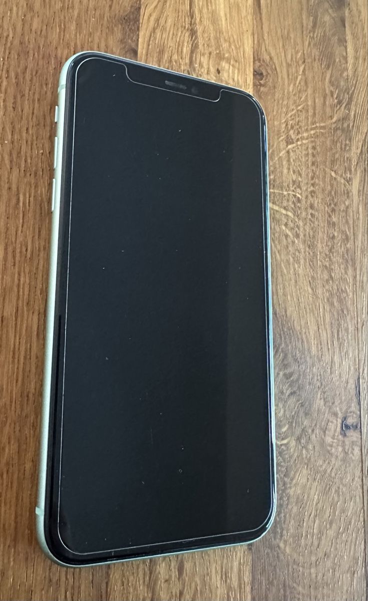 Apple Telefoni cellulari / Smartphones: iPhone 11 64GB Mintgrün mit Zubehör – Usato da Luzern venduto da Sve_958r 1