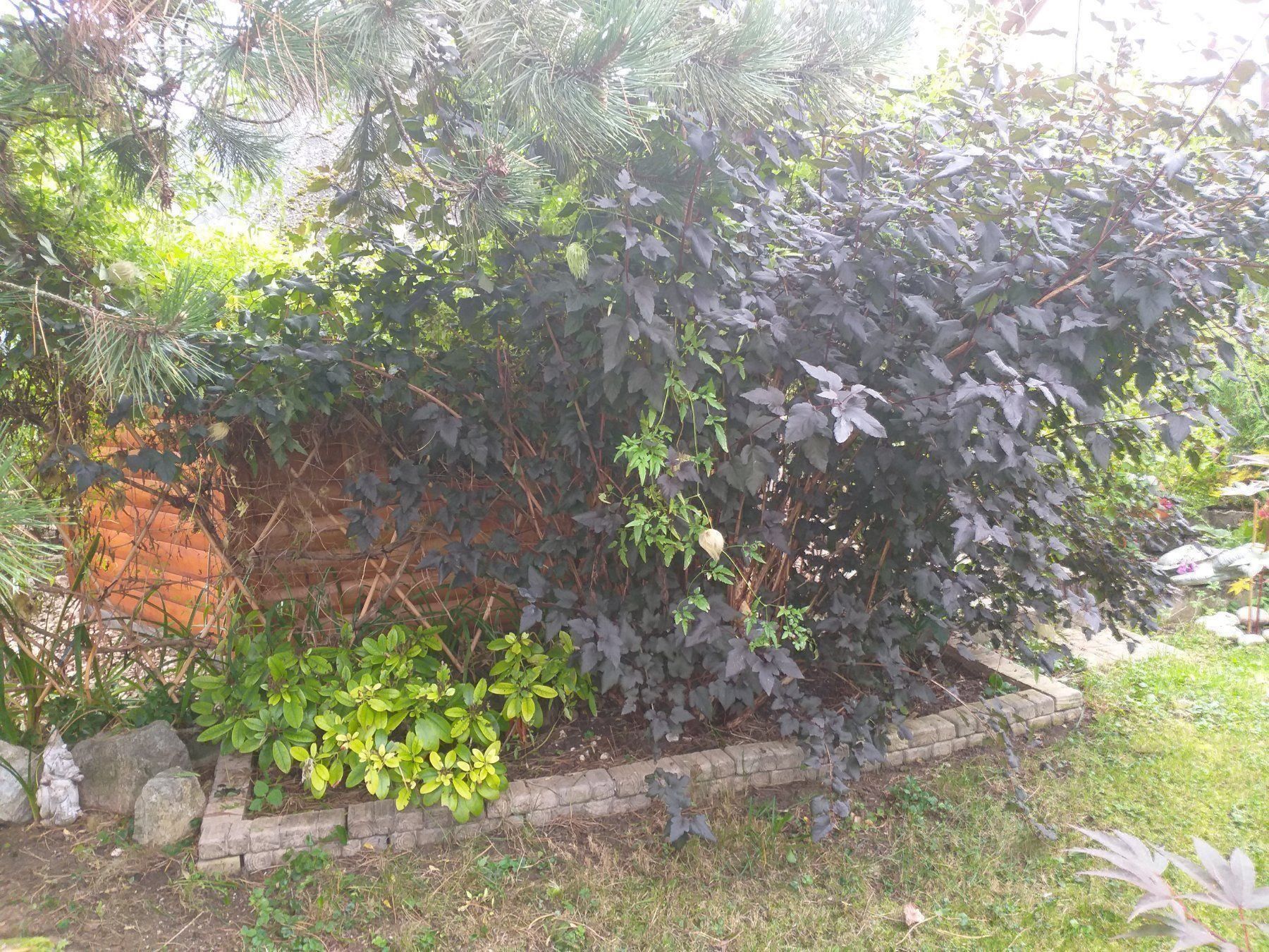 Figuren: Beton Bau-Stein mit Holzimitation – Neu (gemäss Beschreibung) aus Herbetswil von AHA-Garten 6