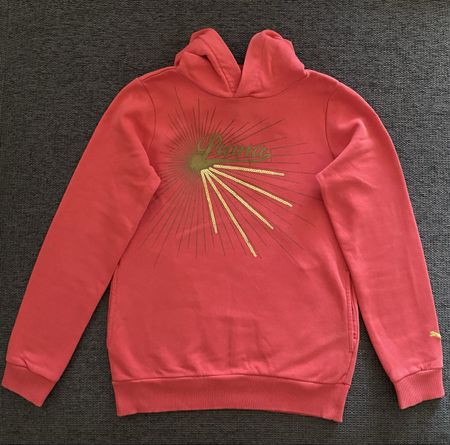 Puma Hoodie