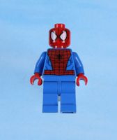 LEGO Minifigur Spider-Man - Black Web Pattern