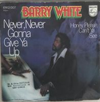 BARRY WHITE - NEVER, NEVER GONNA GIVE YA UP