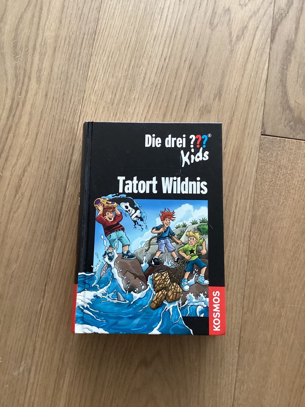 Libri: Die drei ???, Buch, 3 in 1 – Usato da Hallwil venduto da claire70