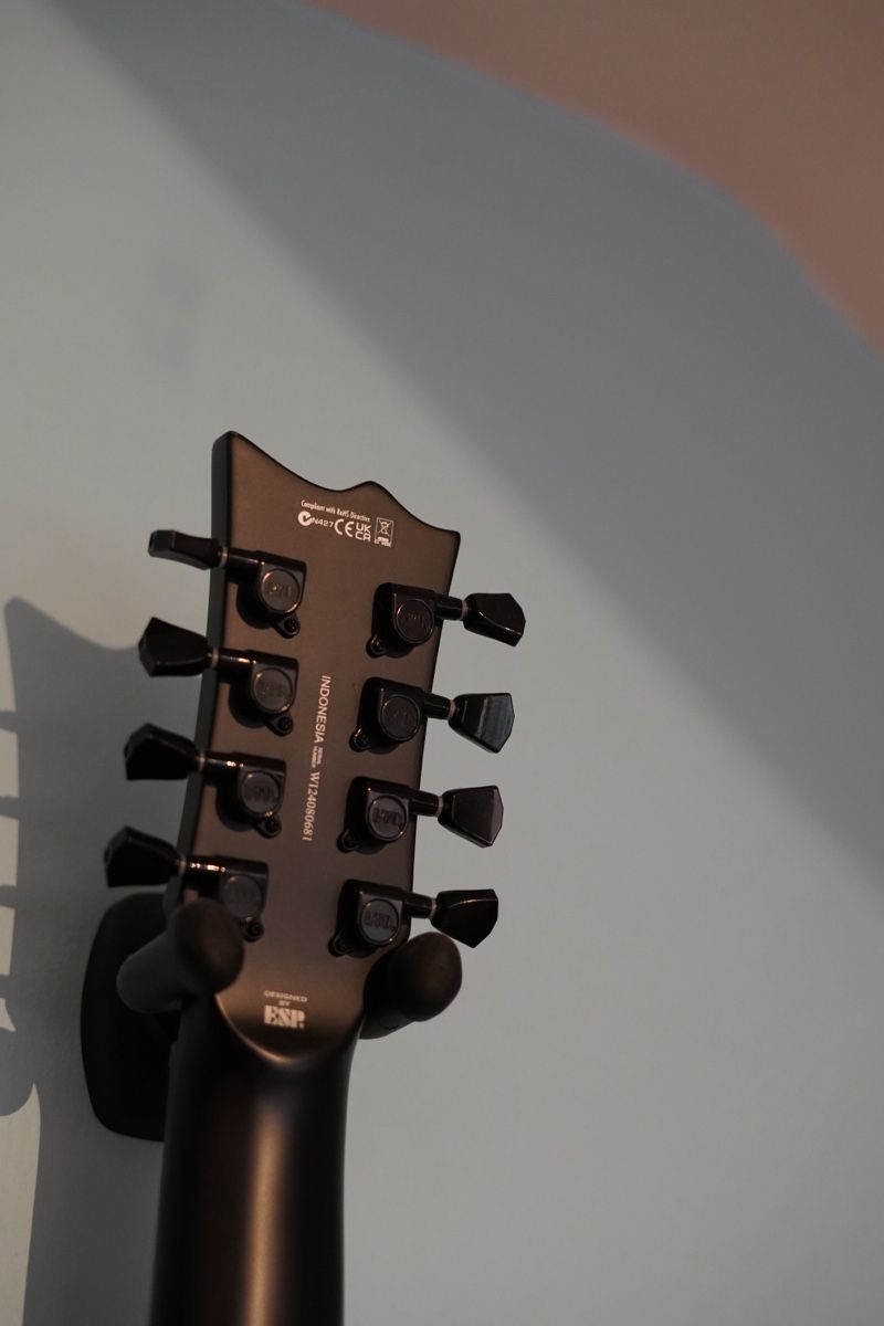 Esp Strumenti musicali: LTD EC-258 E-Gitarre – Nuovo (secondo la descrizione) da Grenchen venduto da ale_yv26 3