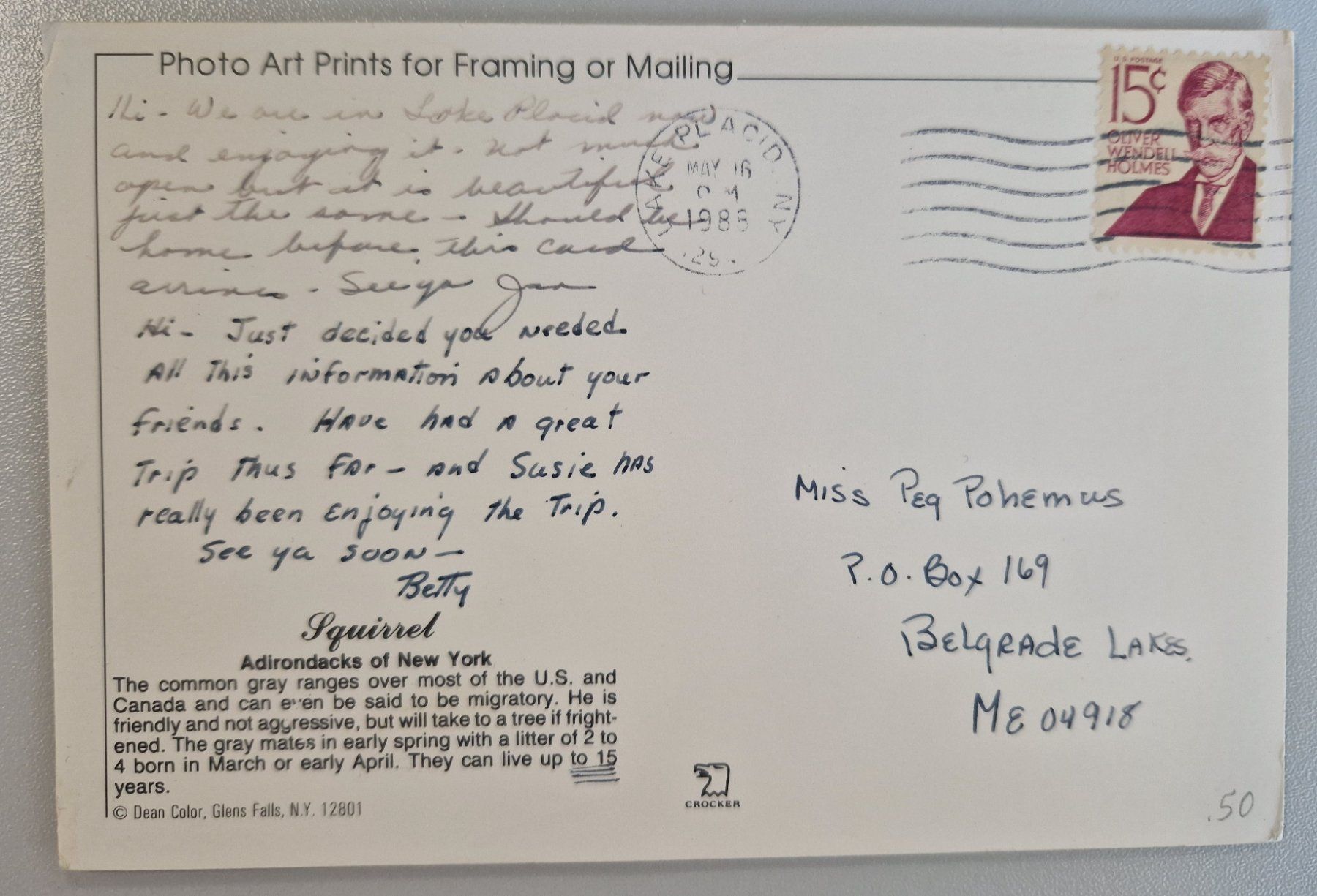 Cartoline postali: Adirondacks USA Gray Squirrel 1988 – Usato da Melchnau venduto da Arthurius 1