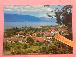 Cheyres,  vue générale.