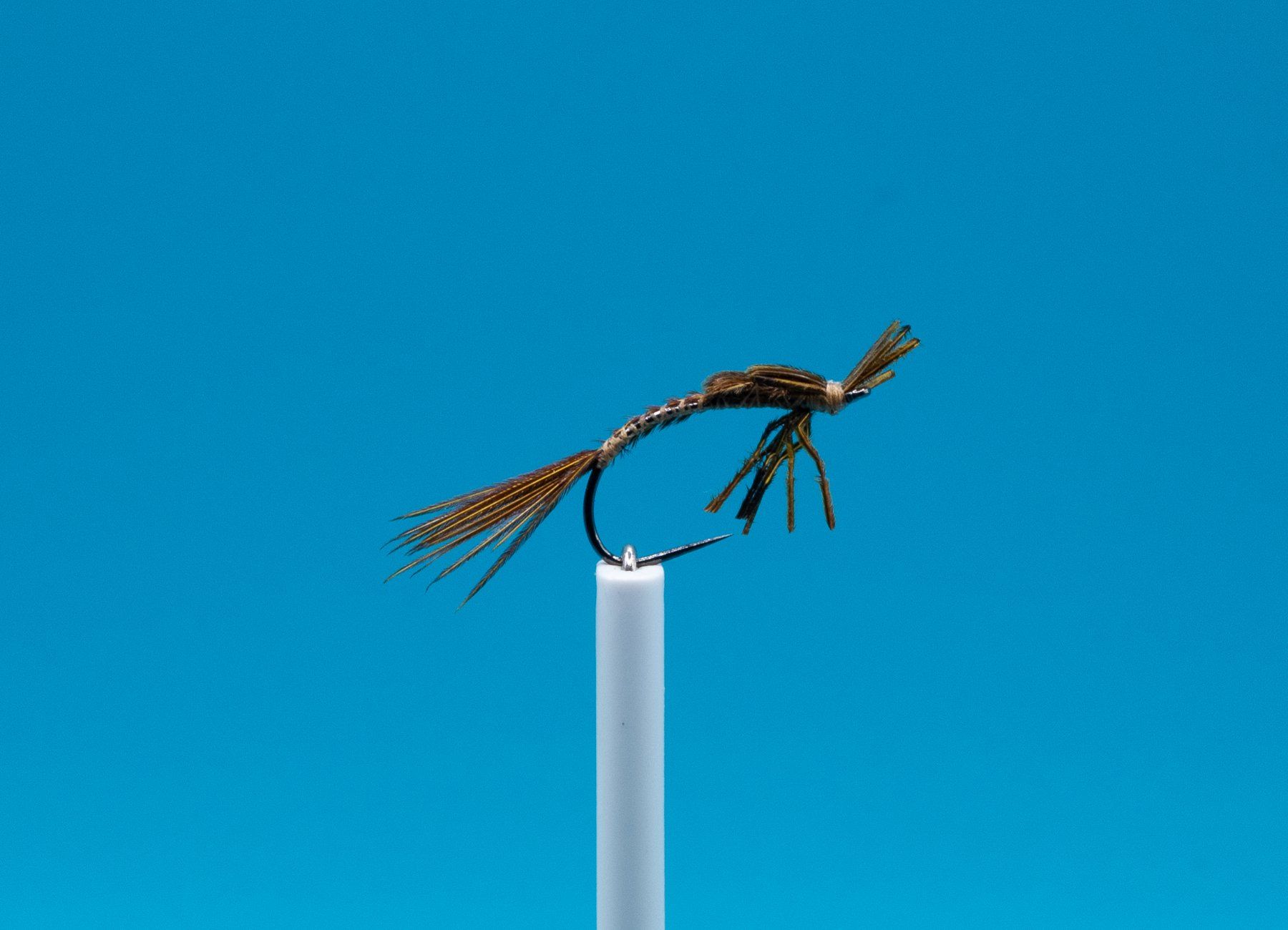 Esche: 5 Emerger Nymphen – Nuovo e nell'imballaggio originale da Grenchen venduto da firefly2000 3