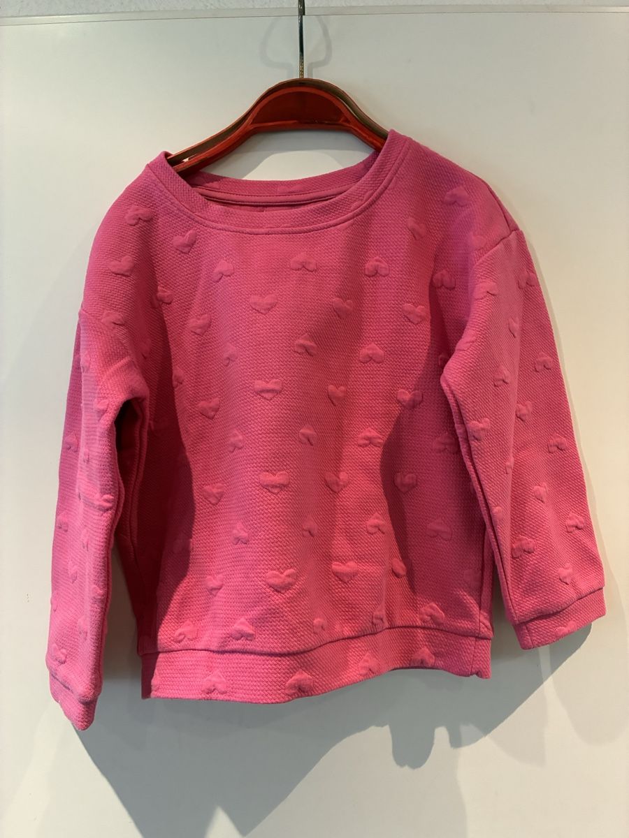 Pulls et sweat-shirts: Schöner Pullover Gr. 116 – D'occasion à richterswil par lunamarie001