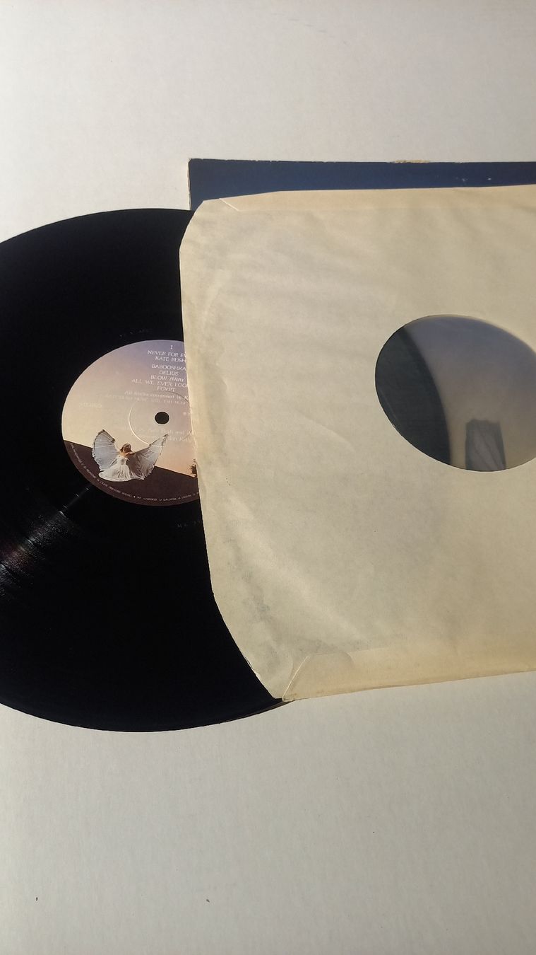 Dischi in vinile: Kate Bush - Never for Ever LP Vinyl Schallplatte – Usato da St. Gallen venduto da Bir_Rer 2