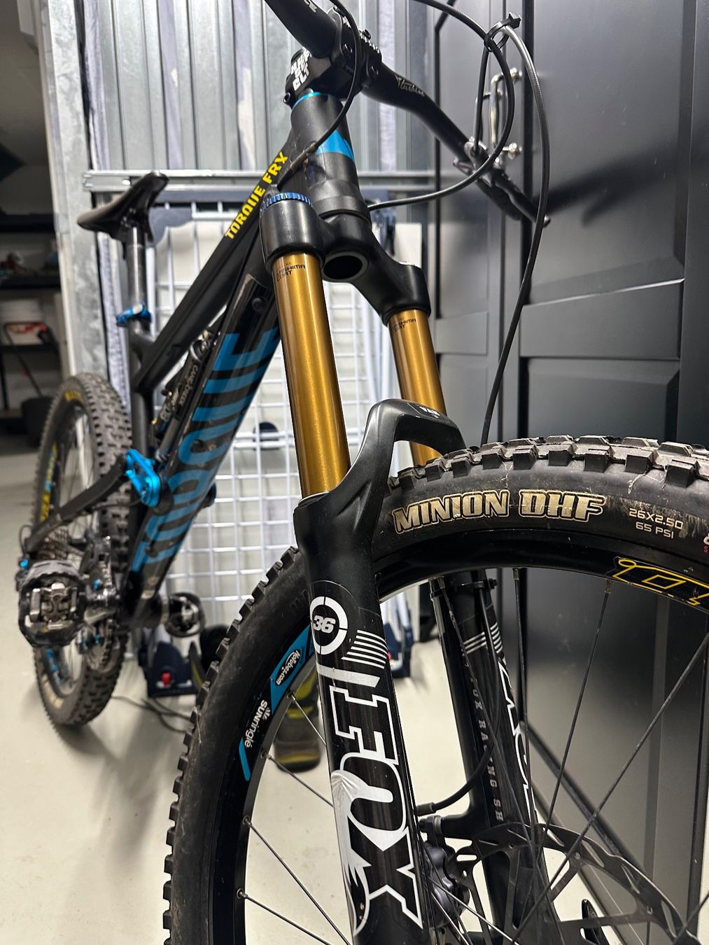 Canyon Biciclette: Canyon Torque FRX Dropzone – Usato da Basel venduto da flo_p29b 1