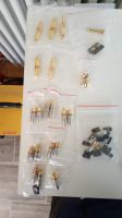 Diverse Stecker