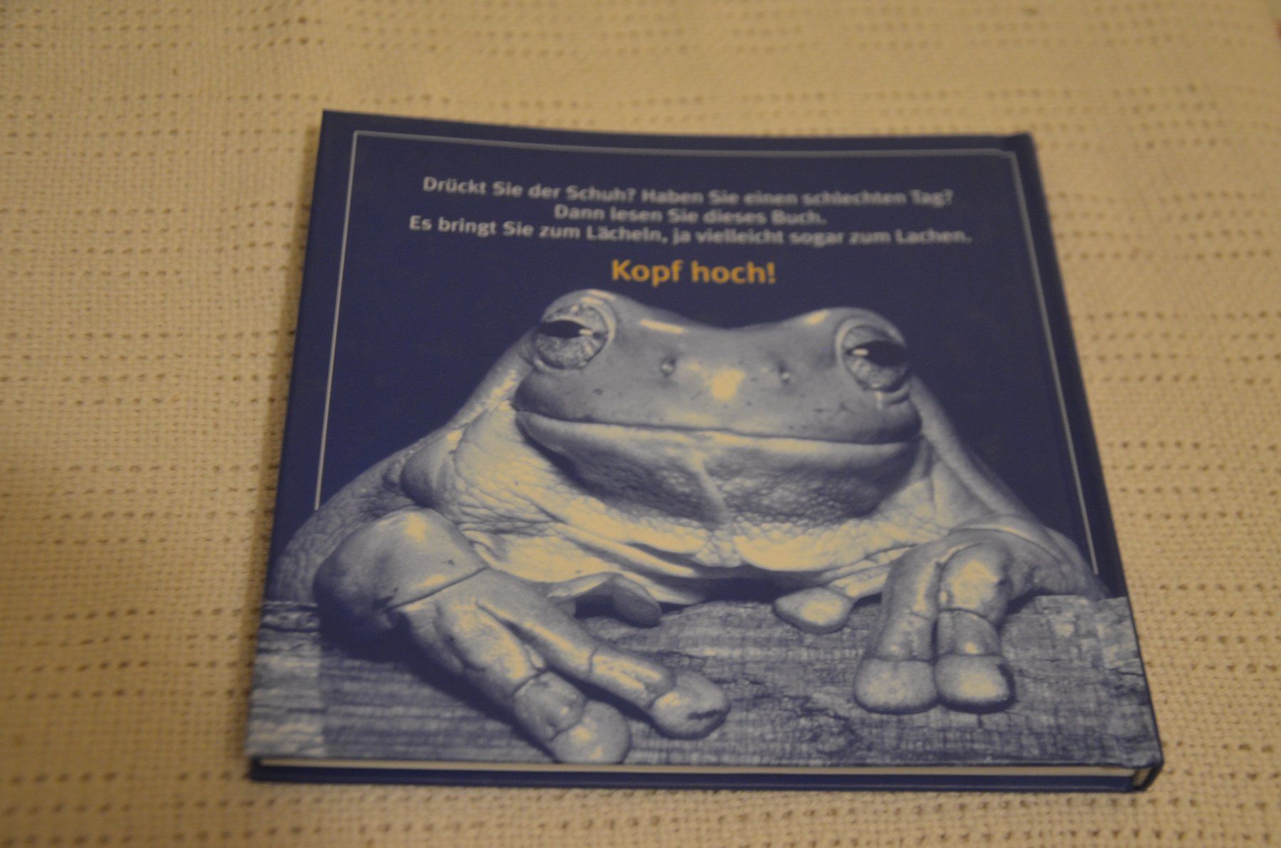 Livres: BUCH – D'occasion à Chiasso par Dolly015 1