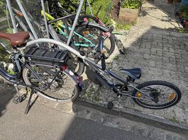Follow me - Veloanhänger von Trek!