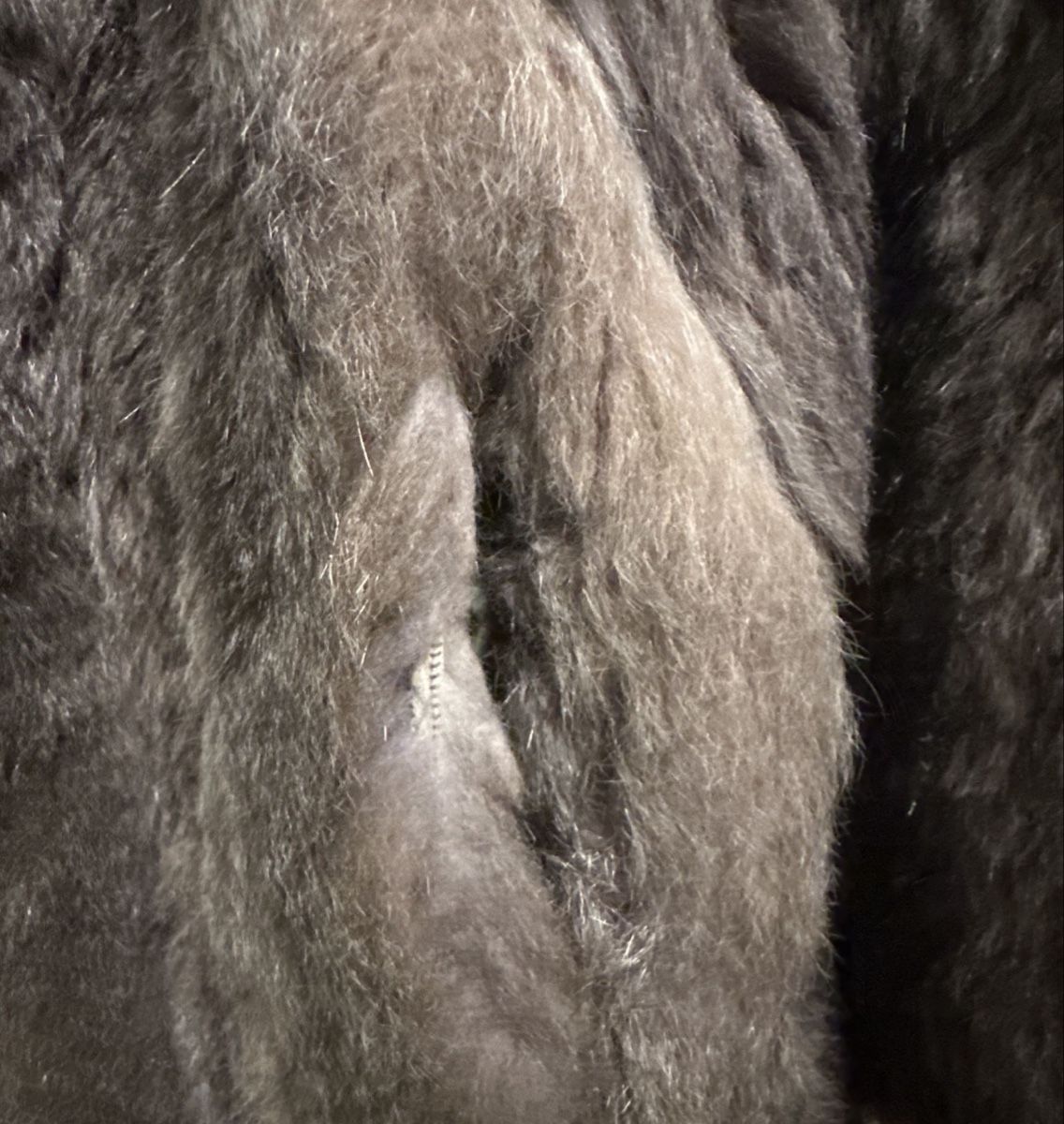 Cappotti: Pelzmantel – Usato da Uitikon Waldegg venduto da Amour_Zurich 5
