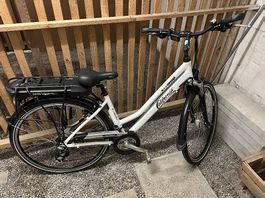 E-Bike California / e-concept 36V ? fast neu ? Akku defekt
