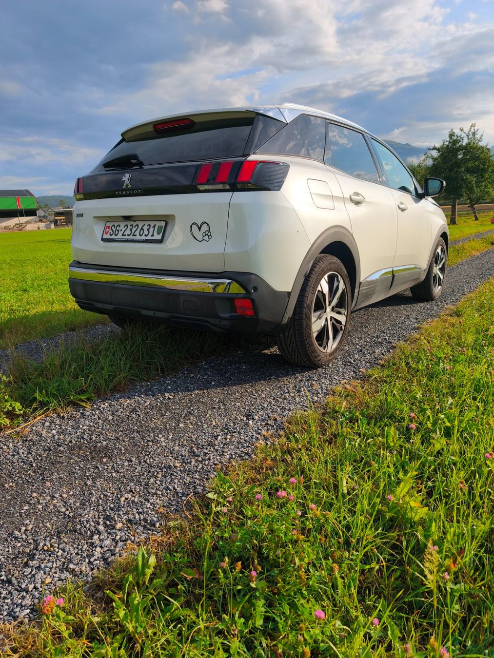 Peugeot Autos: Peugeot 3008 – D'occasion à Altstätten SG par Maryann2 1